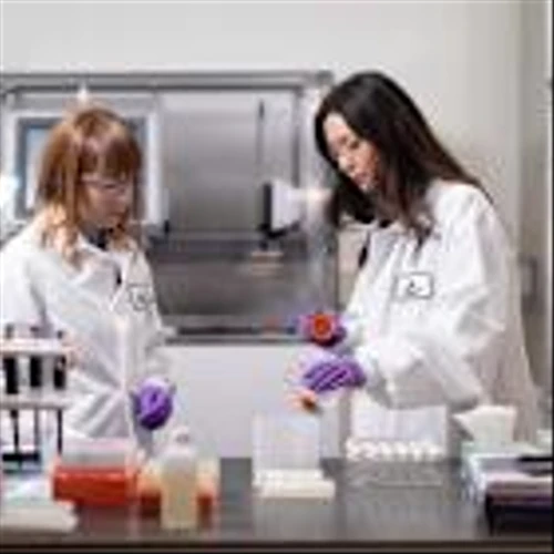 Vertex Pharma’s Stock Has Tumbled. Earnings Will Stop the Pain.