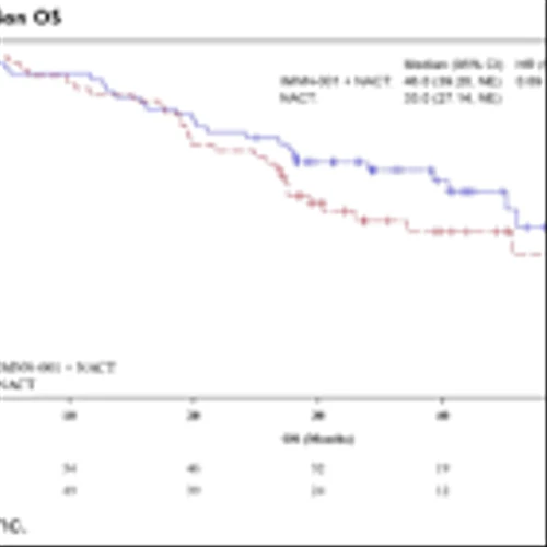 IMNN: Momentum Continues with Presentations at ASCO and ESMO Gynaecological Cancers…