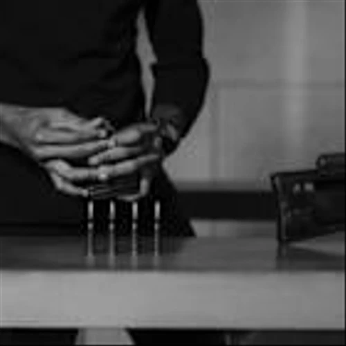 Outdoor Holding Company (POWW) Expands GunBroker With AI Innovation