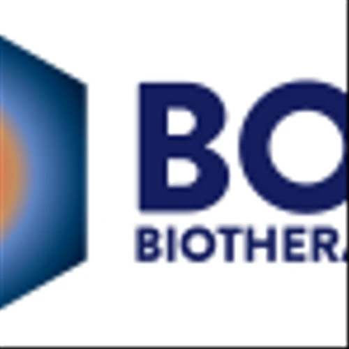 Bolt Biotherapeutics Reports Third Quarter 2025 Financial Results and Provides Business Update