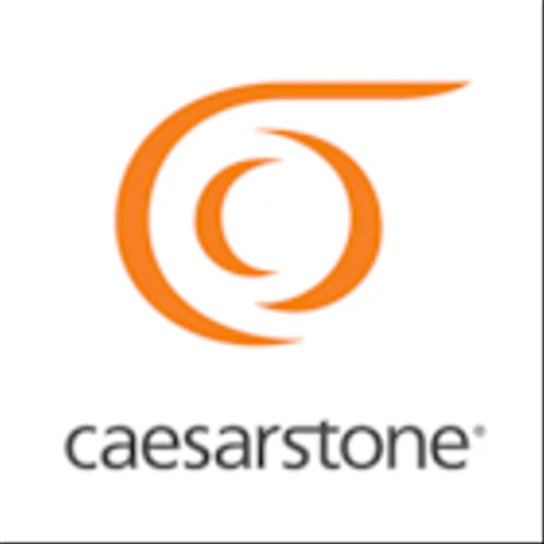 Caesarstone Ltd (CSTE) Q1 2025 Earnings Call Highlights: Navigating Challenges with Strategic ...