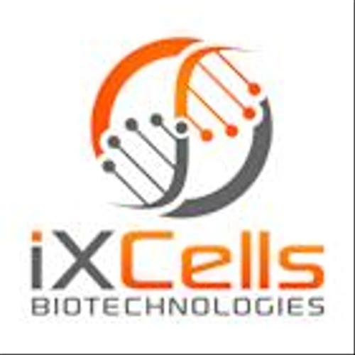 iXCells Biotechnologies Launches iPSCore™ Platform for Generating Highly Characterized iPSC-derived Human Cell Models
