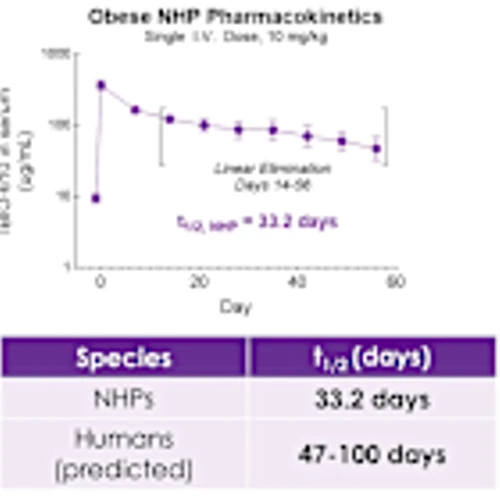 iBio Unveils New Non-Human Primate Data on IBIO-610, an Activin E Antibody with Strong Therapeutic Potential for Fat-Selective Weight-Loss and Weight Maintenance