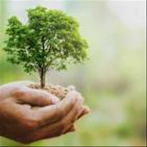 Money Grows On This Tree As Discount Retailers Crush Estimates