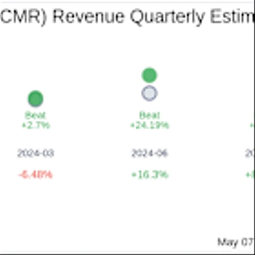 ACM Research Inc (ACMR) Q1 2025 Earnings Report Preview: What To Look For