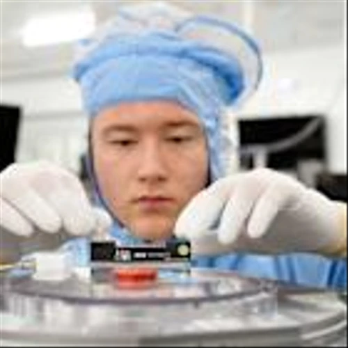 ASML Stock Jumps On Double Upgrade For Chip Gear Leader