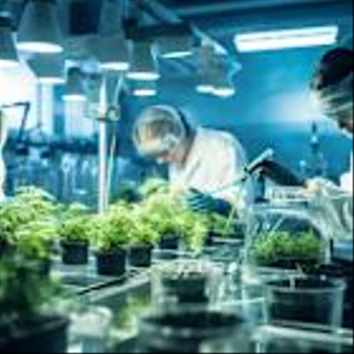 Is GrowGeneration Corp. (GRWG) the Best Cannabis Stock to Buy According to Billionaires?