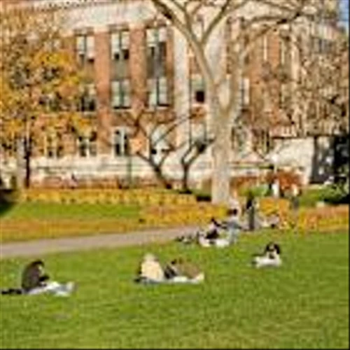 S&P: Negative outlook for nonprofit colleges in 2026