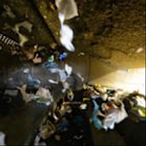 Google to Purchase Carbon Removal Credits Generated by AMP’s AI-Powered Organic Waste Processing