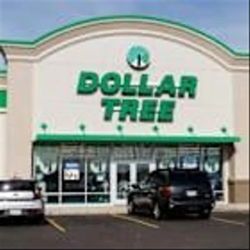 Will Dollar Tree's Strategic Initiatives and Store Expansions Aid?