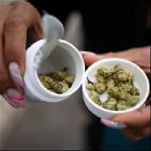 US, Canadian pot firms eye Germany for growth as market stagnates at home