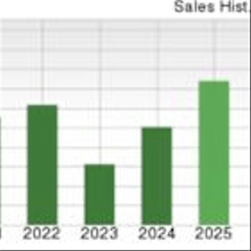 Bull of the Day: Micron Technology (MU)