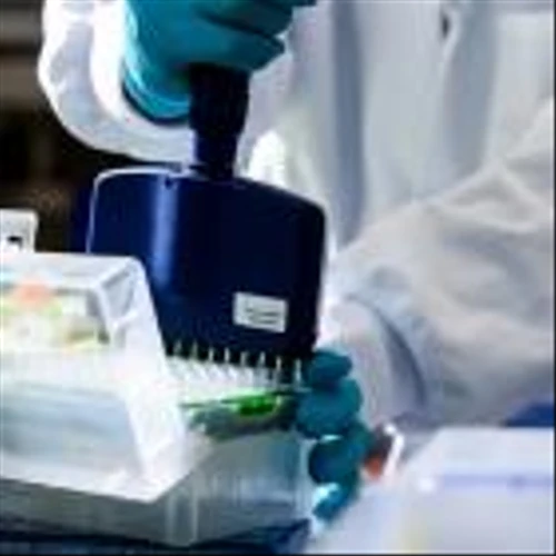 Moderna Stock Is Rising. A New Covid Vaccine Is Coming But Only for Some.