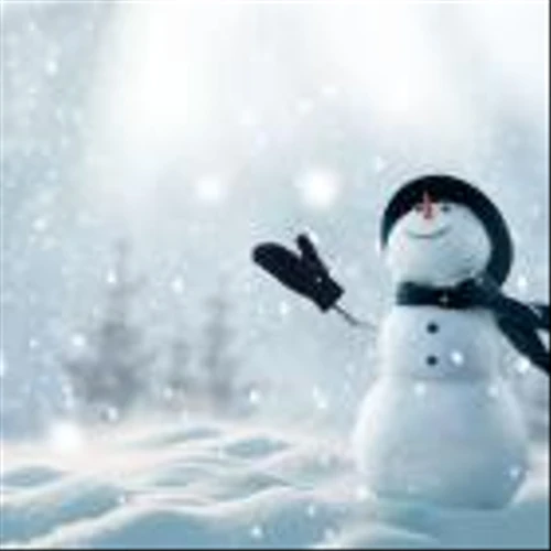Snowflake Stock Rides on Cortex AI Adoption: Can the Growth Continue?