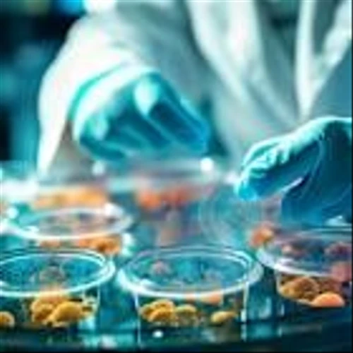 H.C. Wainwright Initiates Rani Therapeutics (RANI) with Buy and $11 PT on RaniPill Potential