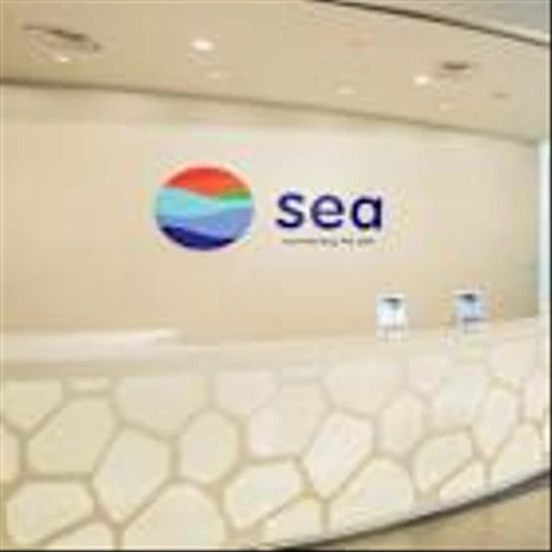 Sea Stock Steadies After Analyst Upgrades View To Buy Following Sell-Off