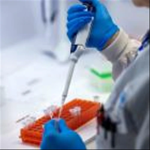 Rocket Pharmaceuticals Stock Soars as Jefferies Initiates Coverage at 'Buy'