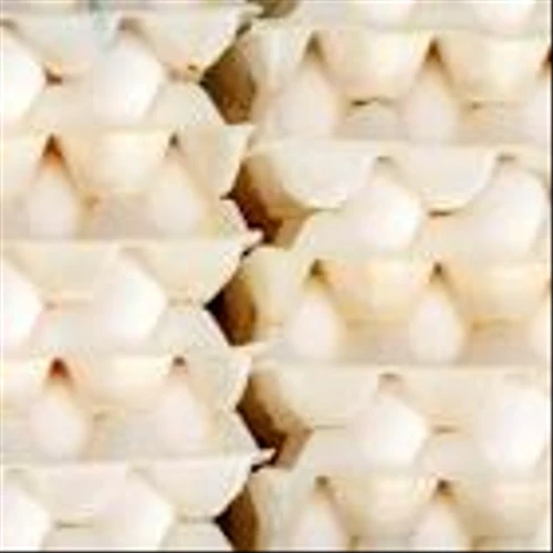 Cal-Maine Foods Cooperating With Justice Department Probe into Egg Price Increases