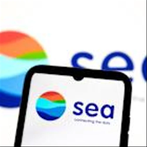Sea shares dip by over 8% as profit comes in below analyst expectations