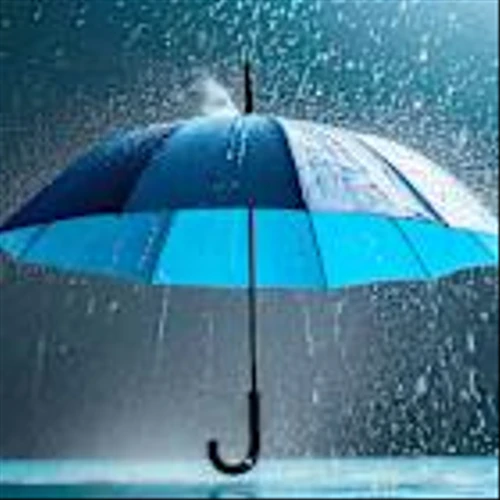 Top Funds Take Refuge In This Stock In Stormy Market