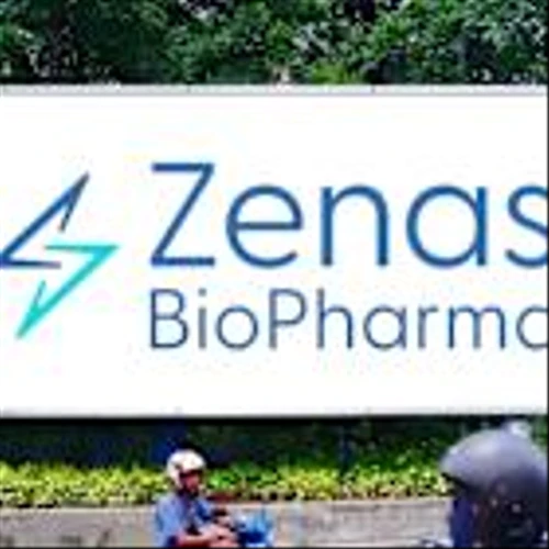 Zenas’ stock drops 51% despite lead asset’s Phase III rare disease win