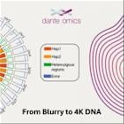 From Blurry to 4K DNA: Dante Omics AI, Rockefeller University, Giunta Lab and Global Partners Assemble the Most Complete Genome for the RPE-1 Cell Line – the Standard for Complex Cell Engineering Experiments
