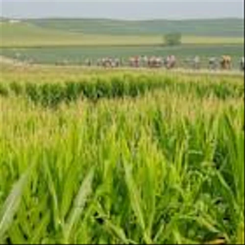 If You Invested $10K In Farmland Partners Stock 10 Years Ago, How Much Would You Have Now?