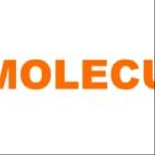 Moleculin Announces Positive Interim Data in Annamycin Clinical Trials: MB-106 AML Trial Complete Response (CR) Rate of 38% and MB-107 STS Lung Mets Trial Median Phase 1B Extended Overall Survival of 11 Months
