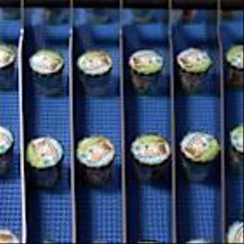 US government shutdown delays Unilever's Magnum ice cream spin-off