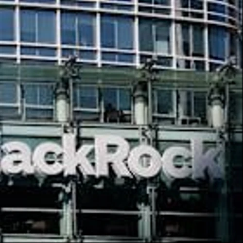 Can Private Credit and Software Stocks Lift Markets? BlackRock Holds the Key.