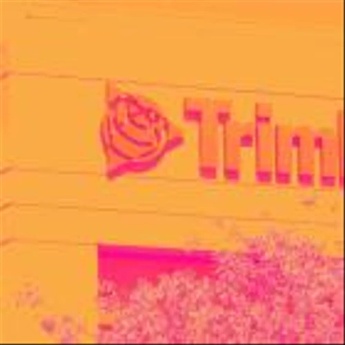 Internet of Things Stocks Q4 Highlights: Trimble (NASDAQ:TRMB)