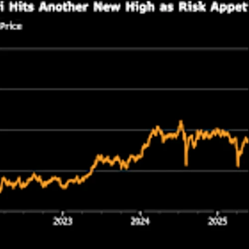 Japan’s Nikkei Reaches New High as Earnings Help Fuel Rebound