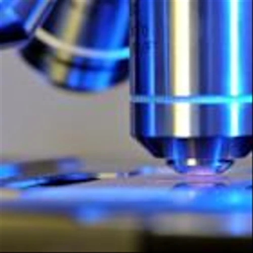 Novartis' Phase III Malaria Study Meets Key Non-Inferiority Endpoint