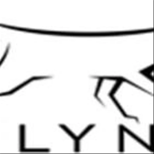 Silynxcom Ltd. Announces Pricing of Initial Public Offering