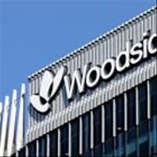 Woodside Energy Would Like at Least One More Partner for Louisiana LNG