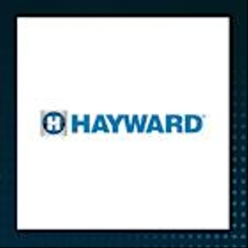Hayward Q4 Earnings Call Highlights