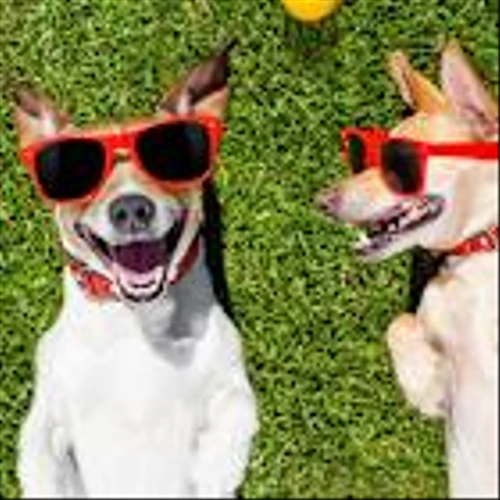 Have $500? 3 Absurdly Cheap Stocks Long-Term Investors Should Buy Right Now