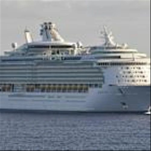 Royal Caribbean (RCL) Falls 8.5% on Missed Expectations