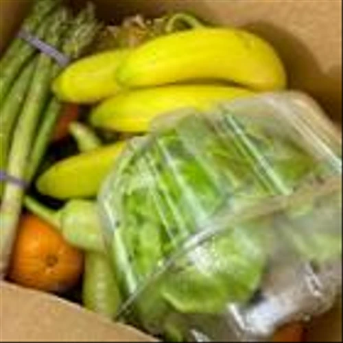 Duke Energy Foundation Gives $100,000 to One SC Fund as Part of Annual Campaign To Help Fight Hunger in South Carolina