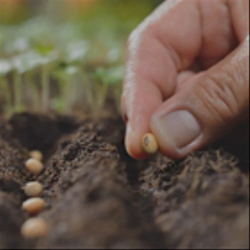 Hardman Johnston Global Equity Sold Corteva (CTVA) as It Failed to Observe a Clear Value-Creation Rationale