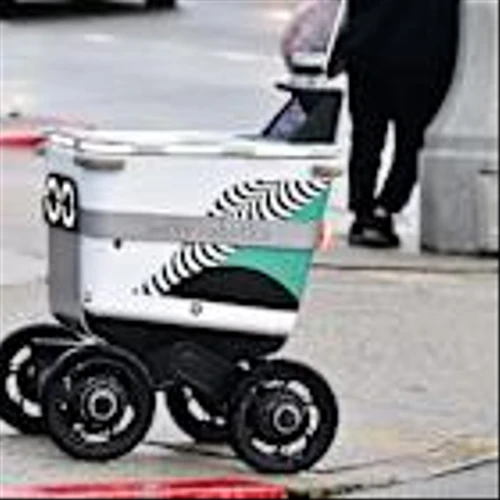 Serve Robotics CEO talks earnings, Nvidia divestment, delivery fleet