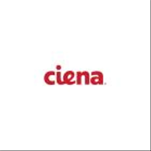 Ciena Announces Reporting Date and Web Broadcast for Fiscal First Quarter 2025 Results