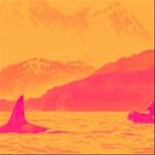 Travel and Vacation Providers Stocks Q1 Earnings: Lindblad Expeditions (NASDAQ:LIND) Best of the Bunch