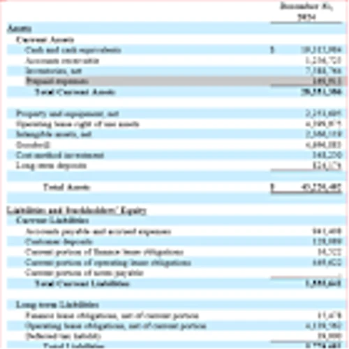 AmpliTech Reports FY 2024 Financial Results