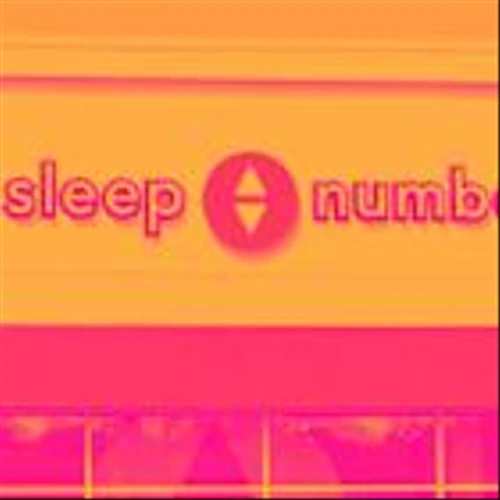 Sleep Number (SNBR) Stock Trades Down, Here Is Why