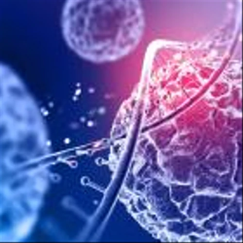 Pfizer Surprises With Profit But Revolutionizing Cancer Treatment Is Its Best Chance Of Getting Back In The Saddle
