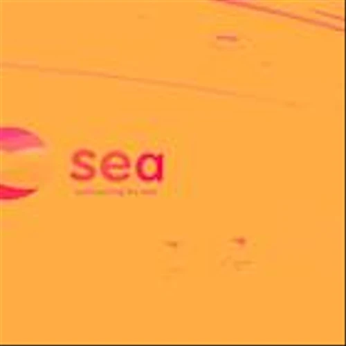 Sea (SE) Stock Trades Up, Here Is Why