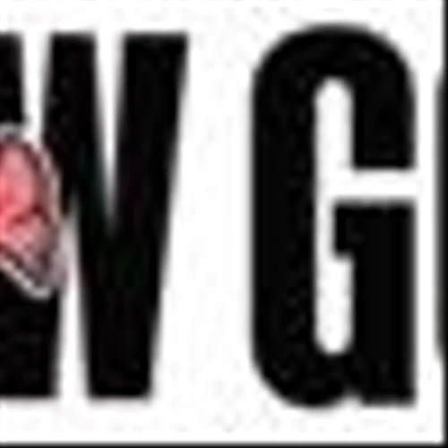 Sow Good Appoints Donna Guy as Chief Financial Officer