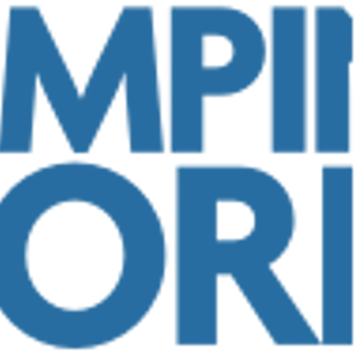 Camping World Holdings Inc (CWH) Q4 2024 Earnings Call Highlights: Strong Revenue Growth and ...