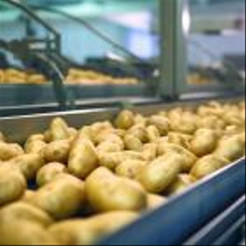 Lamb Weston Holdings (LW): Among the Best Packaged Food Stocks to Buy Now